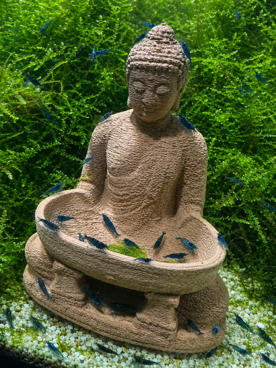 Wooden Buddha Feeding Bowl and Station - 3D Printed Using Real Wood Fibres!