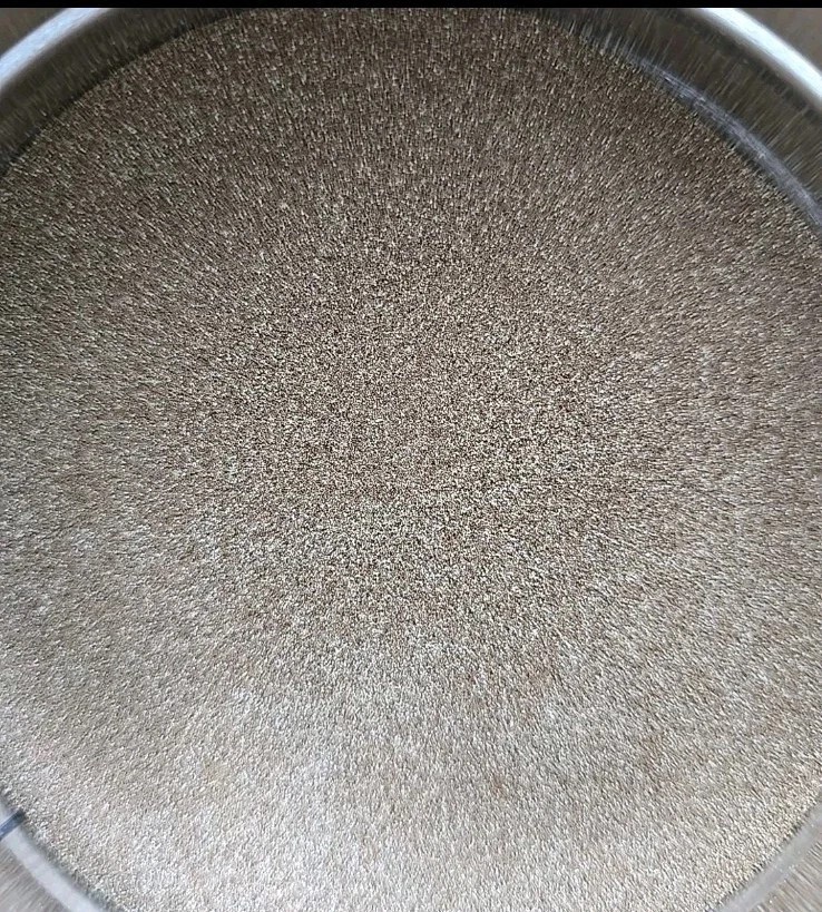 Brine Shrimp Eggs 4g – Economy Grade Artemia Cysts – High Hatch Rate