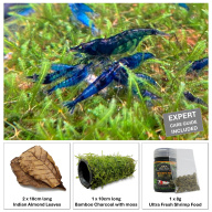 [Shrimp Starter Kit] 10xBlueDream +2Extra + Indian Almond Leaves Catappa + Ultra Fresh Shrimp Food + Bamboo Charcoal with Moss + FREE Expert Guide