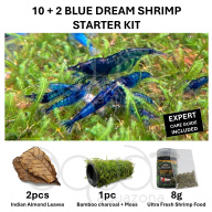 Blue Dream Shrimp Starter Kit | 10+2 Shrimp, Food, Moss & Care Guide