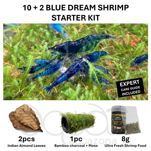 Blue Dream Shrimp Starter Kit | 10+2 Shrimp, Food, Moss & Care Guide