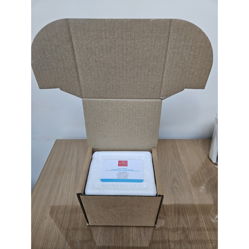 Ramshorn snails mixed sizes x50, Free postage