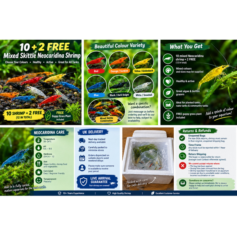 10 + 2 FREE Mixed Skittle Neocaridina Shrimp | Colour Mix | Next-Day Tracked Delivery