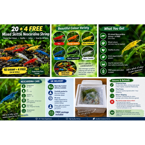 mixed coloured skittle shrimp/pick n mix packs x20 plus x4 extra for FREE, FREE next day delivery with tracking, FREE guppy grass plant