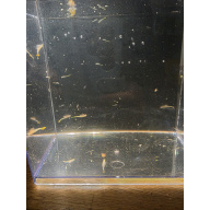 Approx. 5000 Premium Freshwater Fairy Shrimp Cysts (Eggs) – Live Food & Hobby Breeding Kit! ?