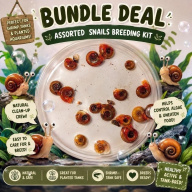 Breeder's Value Pack (20+4 Snails)