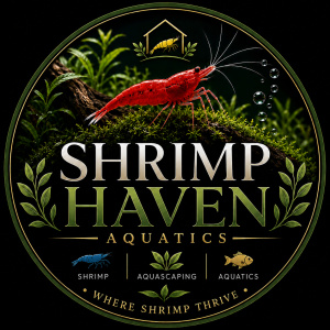 Shrimp haven aquatics