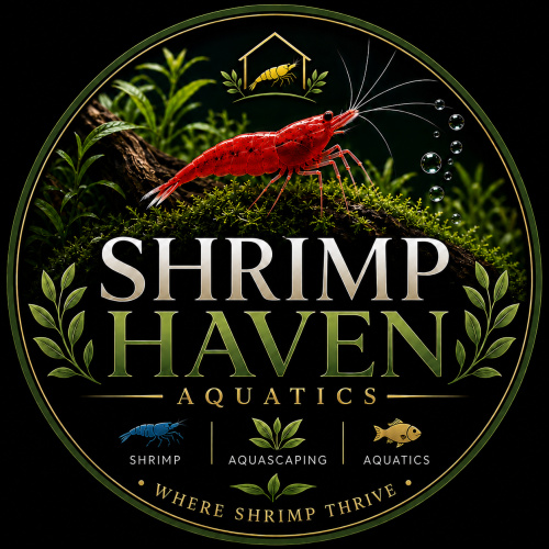 Shrimp haven aquatics
