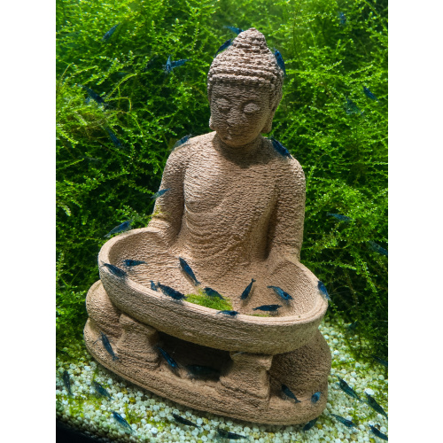 Wooden Buddha Feeding Bowl and Station - 3D Printed Using Real Wood Fibres!