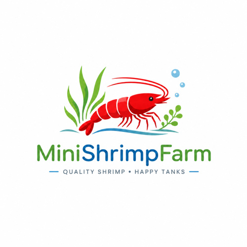 MiniShrimpFarm