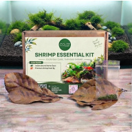 Shrimp Starter Care Kit – 5 Indian Almond Leaves + Ultra Fresh Shrimp Food 8g + Guide - FREE Postage