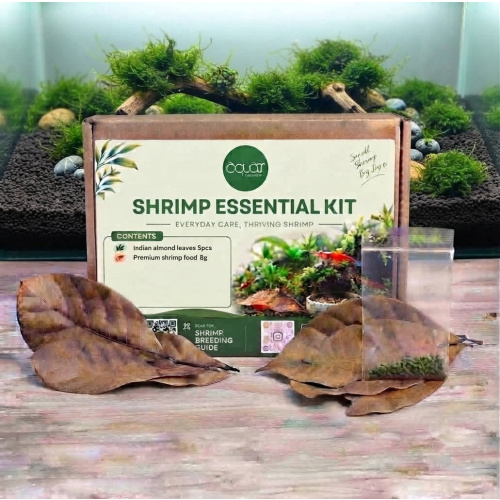 Aquazona Shrimp Essential Kit - Indian Almond Leaves, Ultra Fresh Shrimp Food
