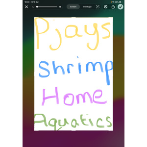 Pjays Aquatics