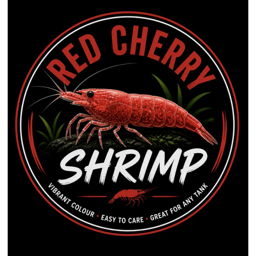 TBSHRIMP