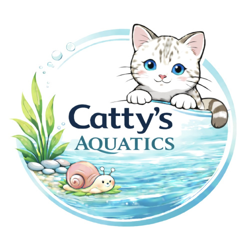 Catty's Aquatics