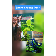 SMINT PACK - NEOCARIDINA SHRIMPS (MIX OF WHITE AND BLUE) PLUS 2 EXTRA(DOA) Freshwater aquarium shrimp Size approx 1.5 - 2.0 cm