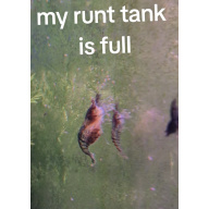 20 Runt Dont be a shrimp racist