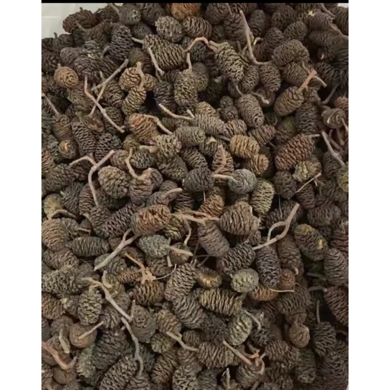Alder cones 50g dry botanicals tannins