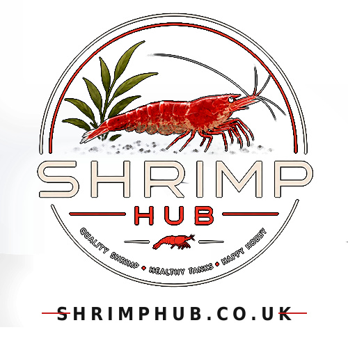 Shrimp Hub UK
