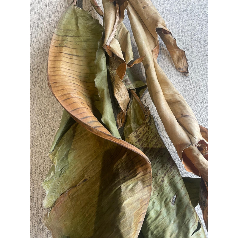 Large Botanicals Box, Blackwater set up/ Benifical tanning, preventing, disess, + Decor.