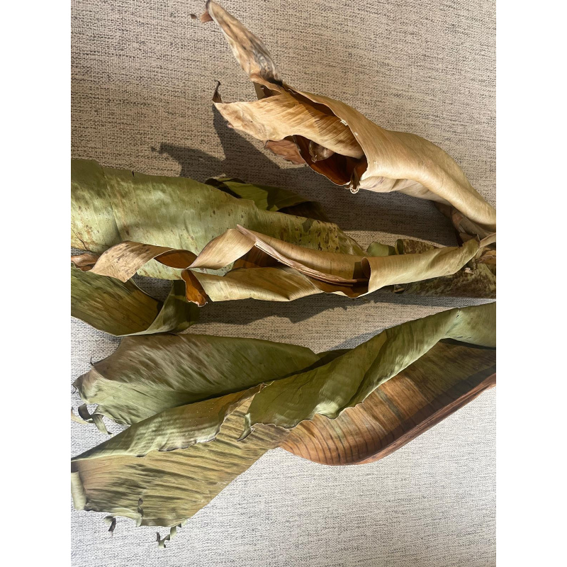 Large Botanicals Box, Blackwater set up/ Benifical tanning, preventing, disess, + Decor.