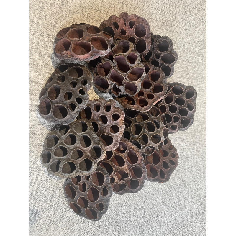 Large Botanicals Pod Box, Bio Food Beneficial tanning, preventing, disease, + Decor, Hides