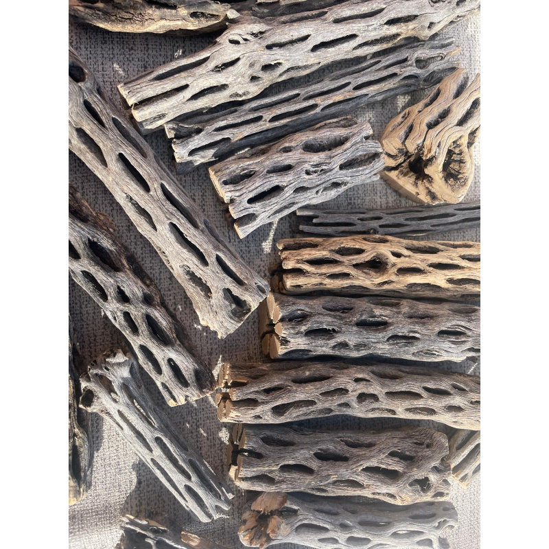 10x Cholla Wood