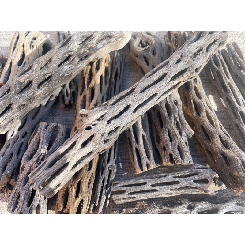 10x Cholla Wood