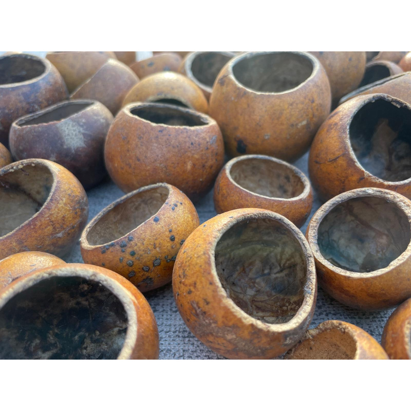 Large Botanicals Pod Box, Bio Food Beneficial tanning, preventing, disease, + Decor, Hides