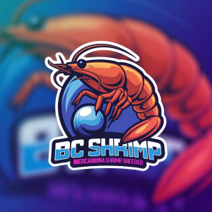 BCShrimp