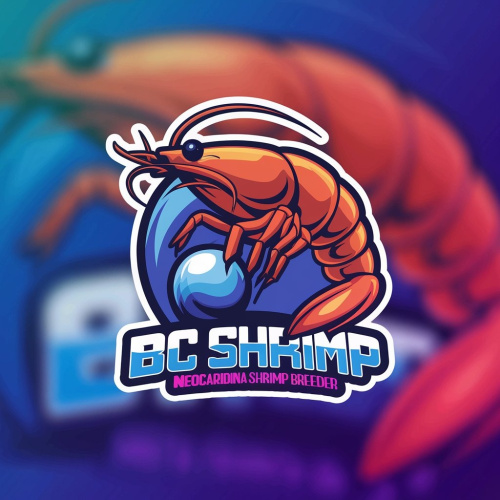 BCShrimp