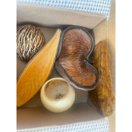 Large Botanicals Pod Box, Bio Food Beneficial tanning, preventing, disease, + Decor, Hides