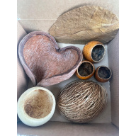 Large Botanicals Pod Box, Bio Food Beneficial tanning, preventing, disease, + Decor, Hides