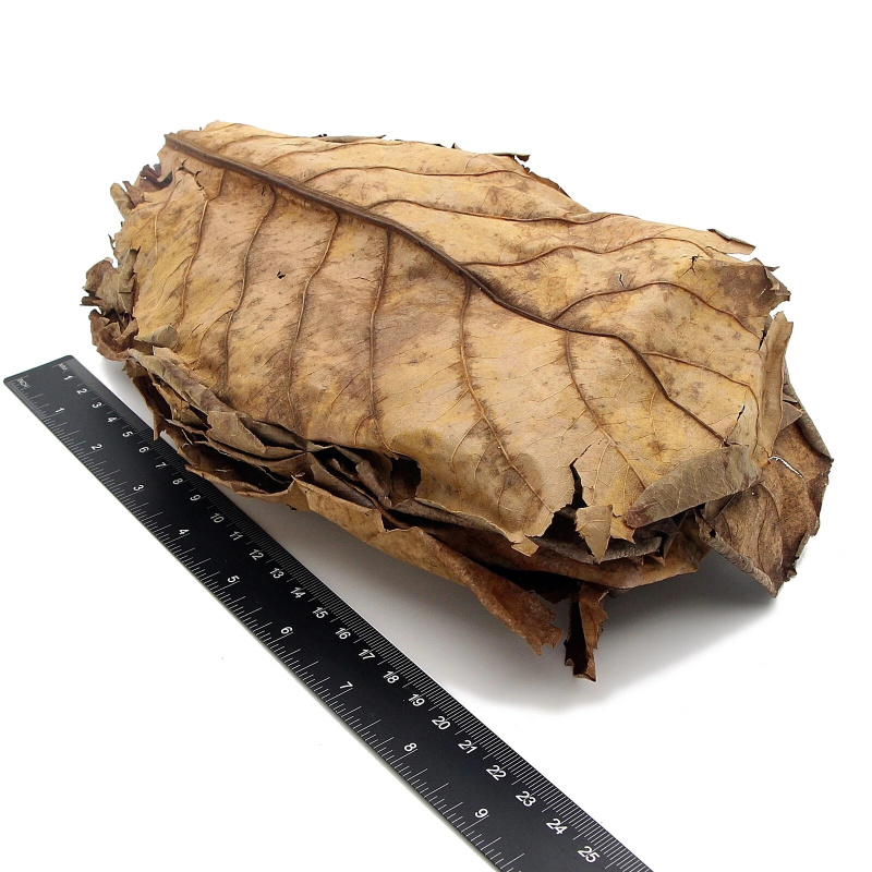 Shrimp Breeding Kit - 8g Ultra Fresh Shrimp Pro Food + 5pcs Indian Almond Leaves/Catappa - FREE POSTAGE