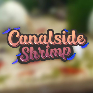 CanalsideShrimp